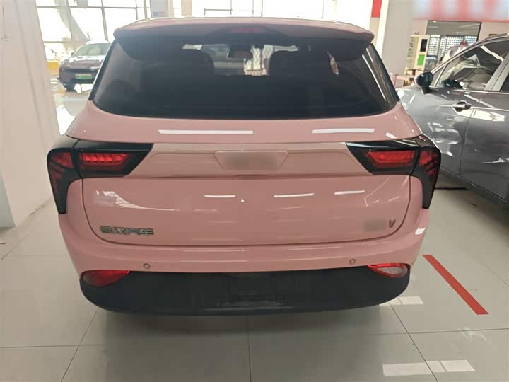 Фото 6 - Hozon V