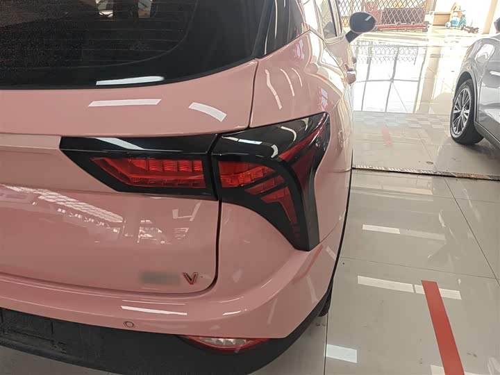 Фото 8 - Hozon V