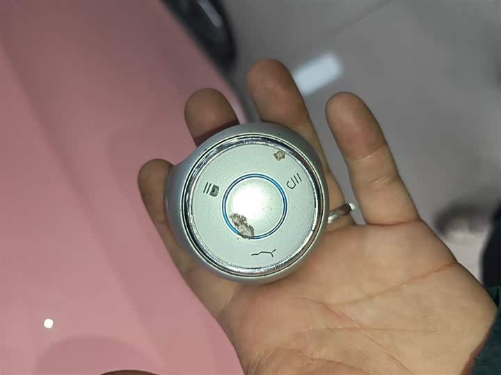 Фото 9 - Hozon V