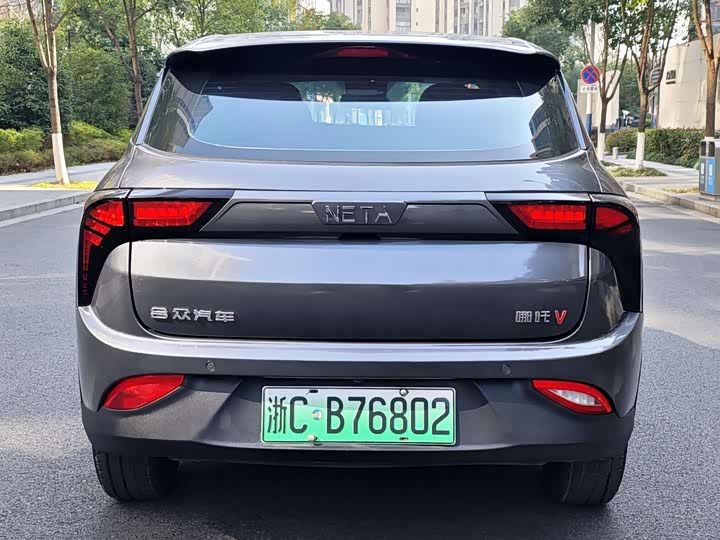 Фото 4 - Hozon V