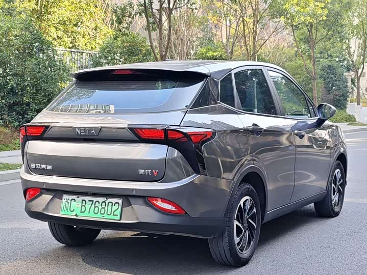 Фото 5 - Hozon V