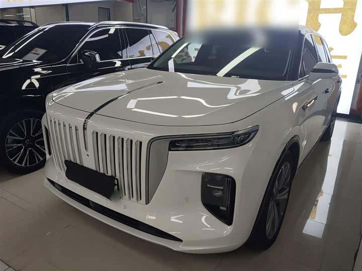 Фото 1 - Hongqi E-HS9