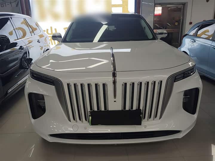 Фото 3 - Hongqi E-HS9
