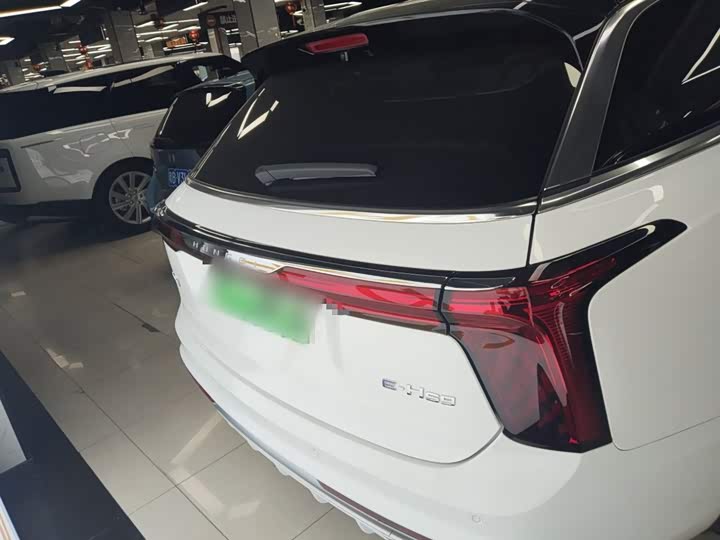 Фото 6 - Hongqi E-HS9