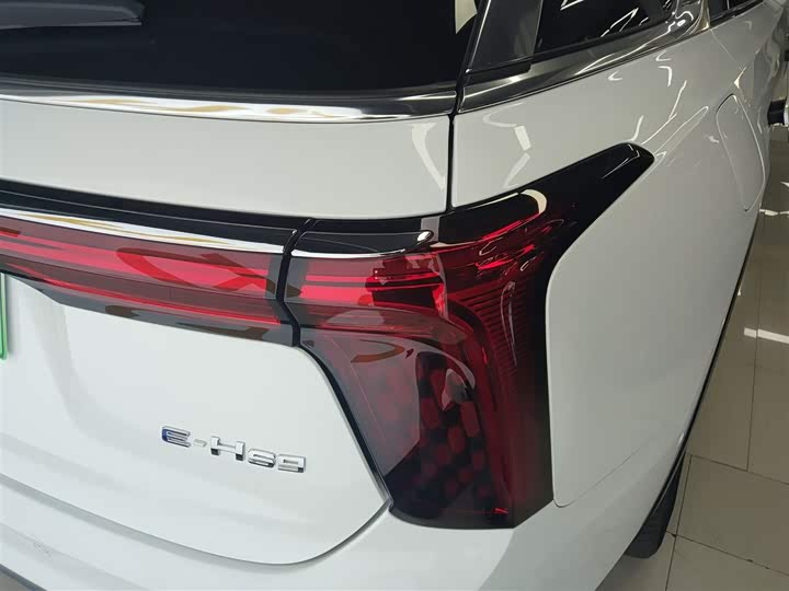 Фото 8 - Hongqi E-HS9