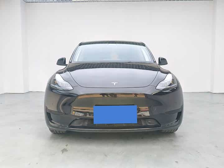 Фото 2 - Tesla Model Y