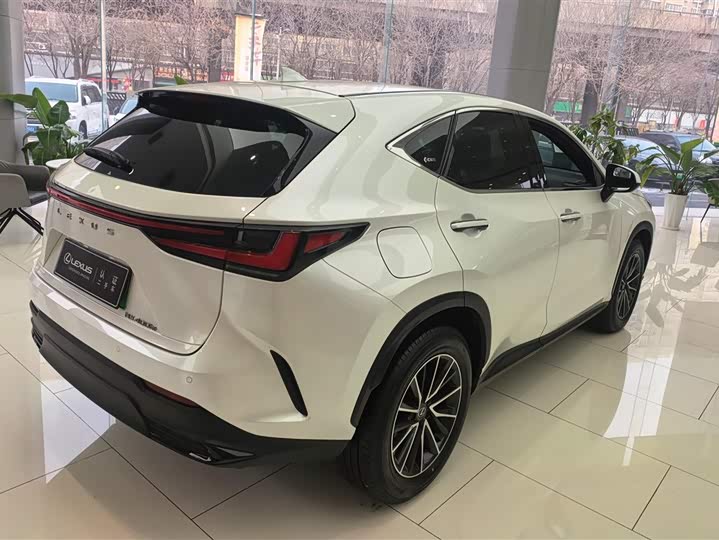 Фото 3 - Lexus NX Hybrid
