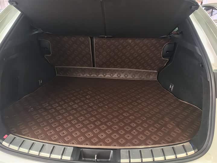 Фото 4 - Lexus NX Hybrid