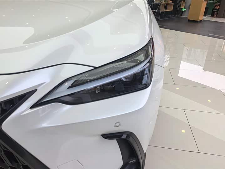 Фото 5 - Lexus NX Hybrid