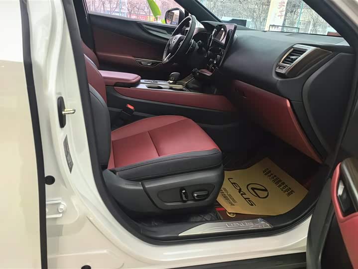 Фото 8 - Lexus NX Hybrid