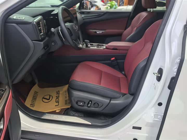 Фото 9 - Lexus NX Hybrid