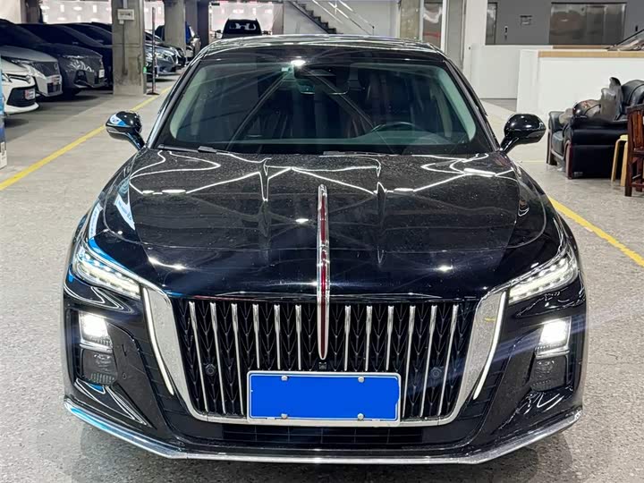 Фото 2 - Hongqi H5