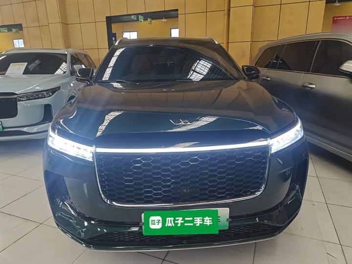 Фото 3 - LiXiang One