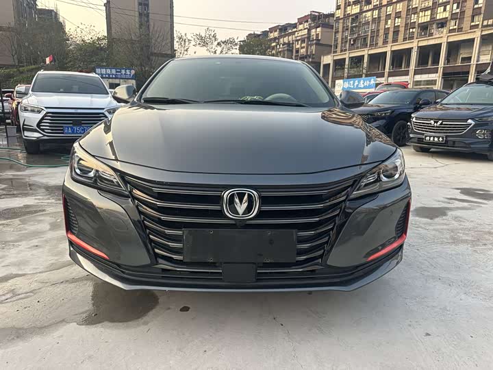 Фото 3 - Changan Raeton CC