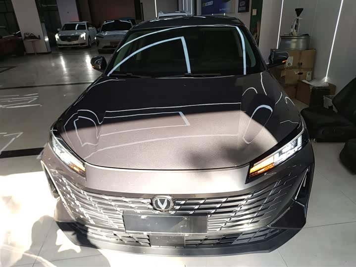 Фото 3 - Changan Eado Plus