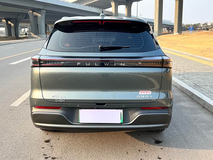 Фото 5 - Chery Fulwin T8