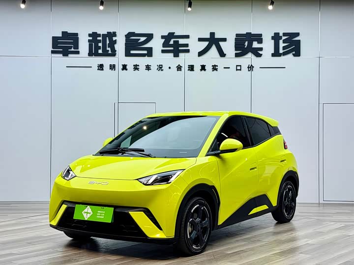 Фото 1 - BYD Seagull