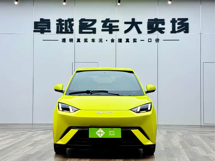 Фото 2 - BYD Seagull