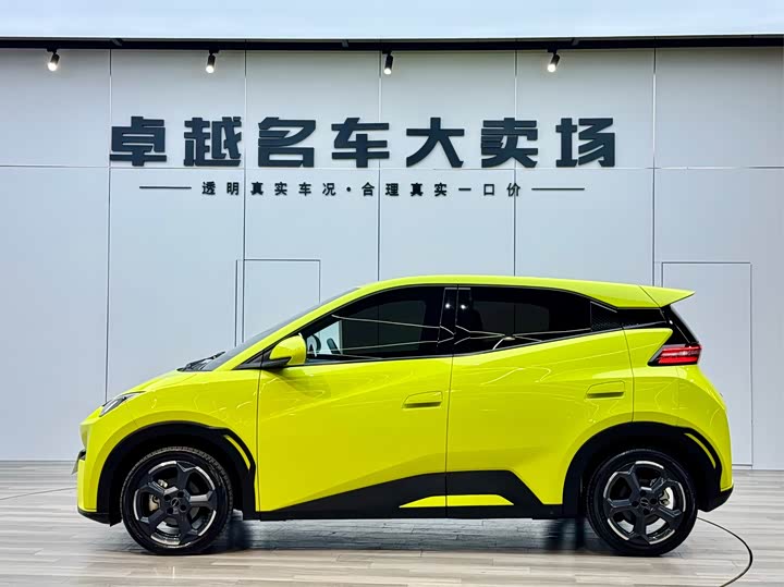 Фото 4 - BYD Seagull