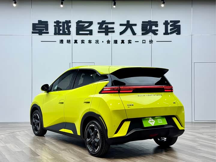 Фото 5 - BYD Seagull