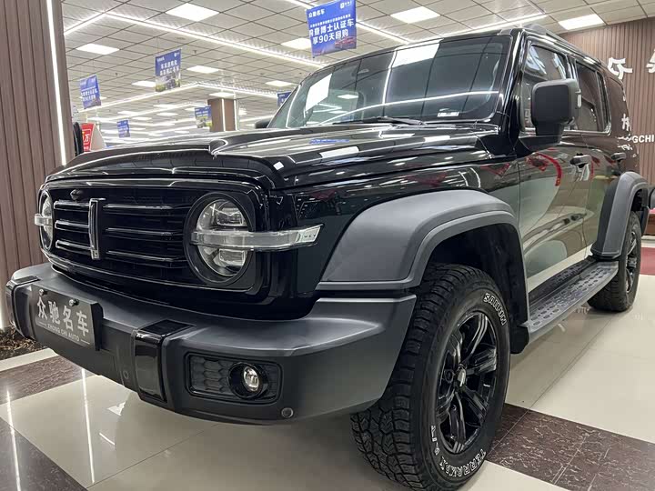 Фото 1 - Tank 300