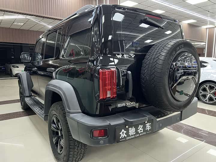 Фото 7 - Tank 300