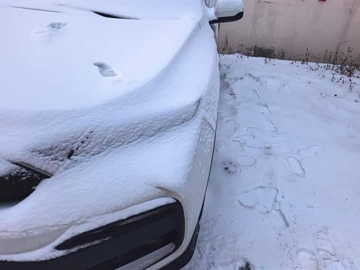 Фото 5 - Honda XR-V