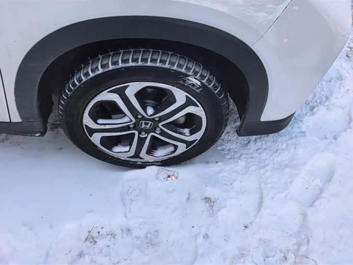 Фото 6 - Honda XR-V