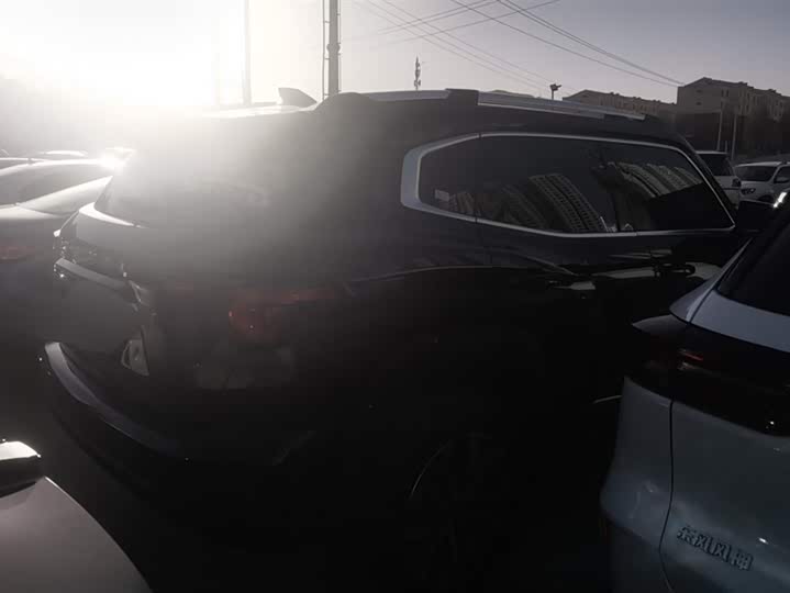 Фото 3 - Haval H-Dog