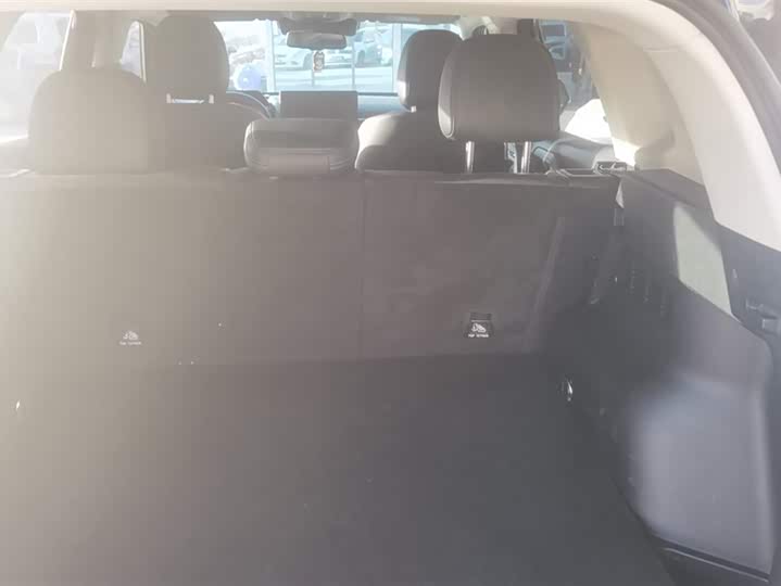 Фото 4 - Haval H-Dog