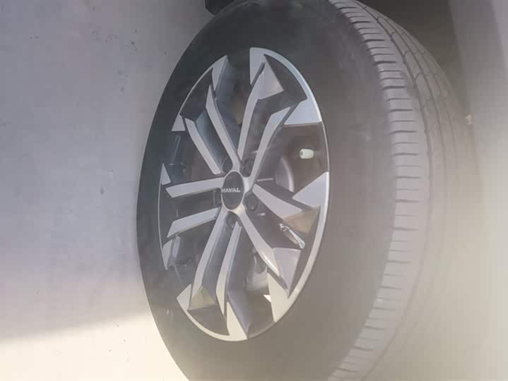 Фото 6 - Haval H-Dog