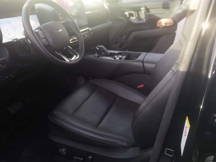 Фото 9 - Haval H-Dog