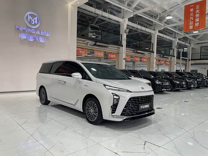 Фото 6 - Buick GL8 Hybrid