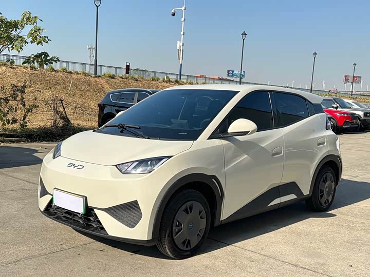 Фото 1 - BYD Seagull