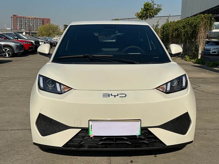 Фото 2 - BYD Seagull