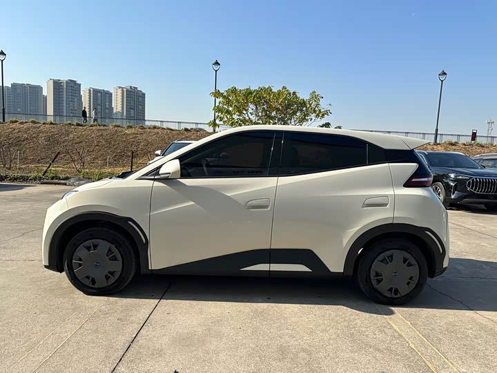 Фото 6 - BYD Seagull