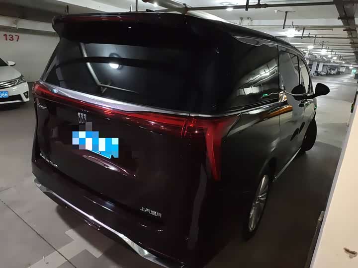 Фото 7 - Buick GL8 Century