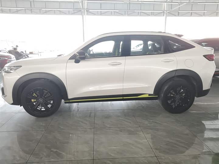 Фото 5 - Haval H6S
