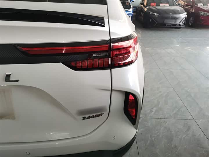 Фото 8 - Haval H6S