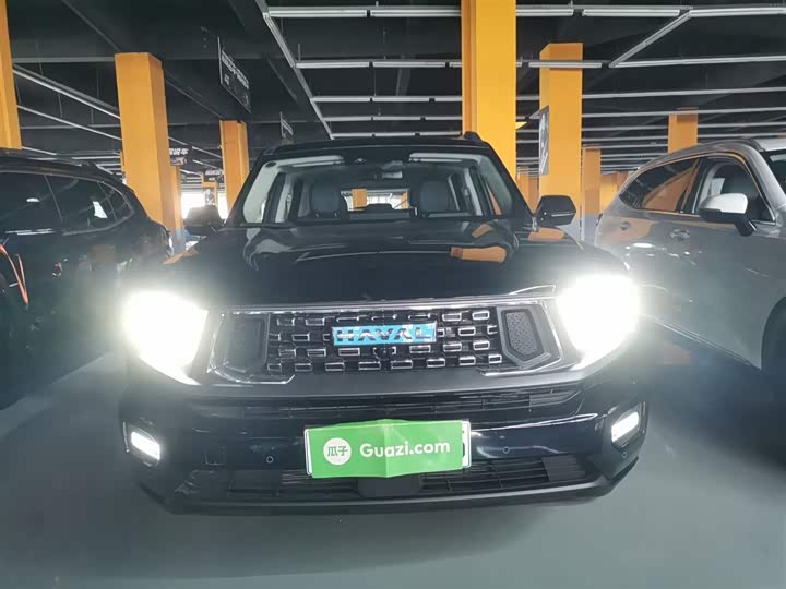 Фото 3 - Haval H-Dog Hybrid