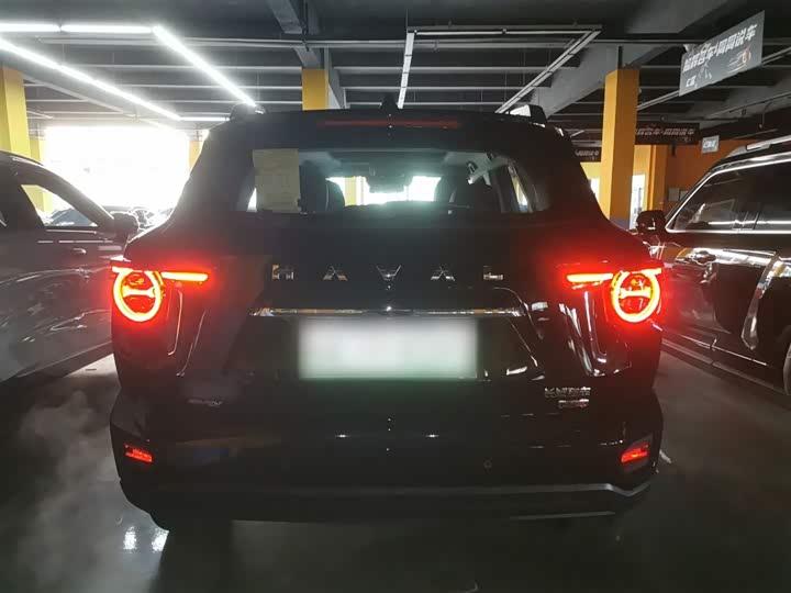 Фото 6 - Haval H-Dog Hybrid