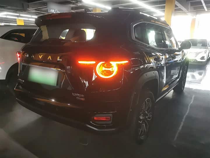 Фото 7 - Haval H-Dog Hybrid