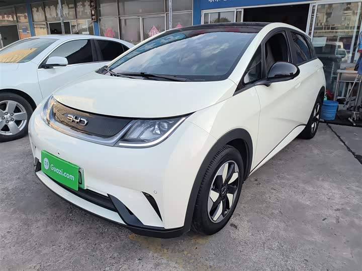 Фото 2 - BYD Dolphin