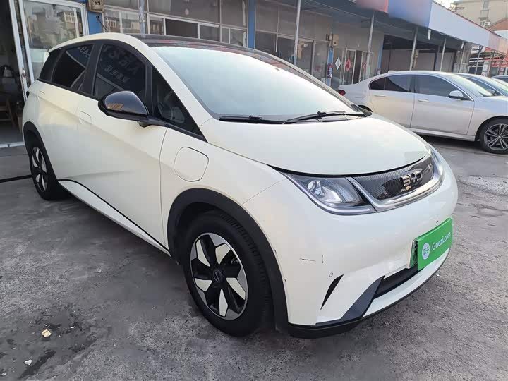 Фото 4 - BYD Dolphin