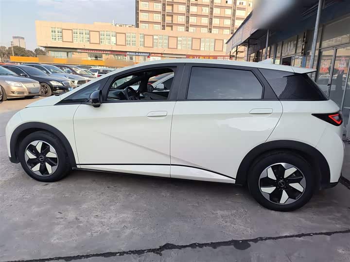 Фото 5 - BYD Dolphin