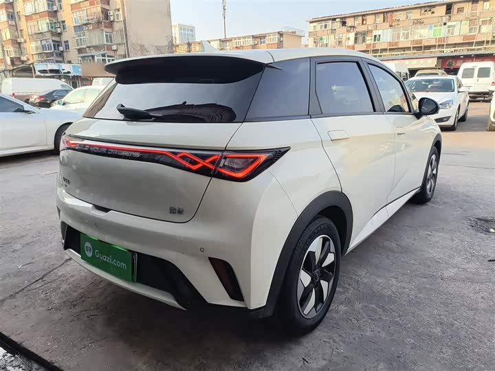 Фото 7 - BYD Dolphin