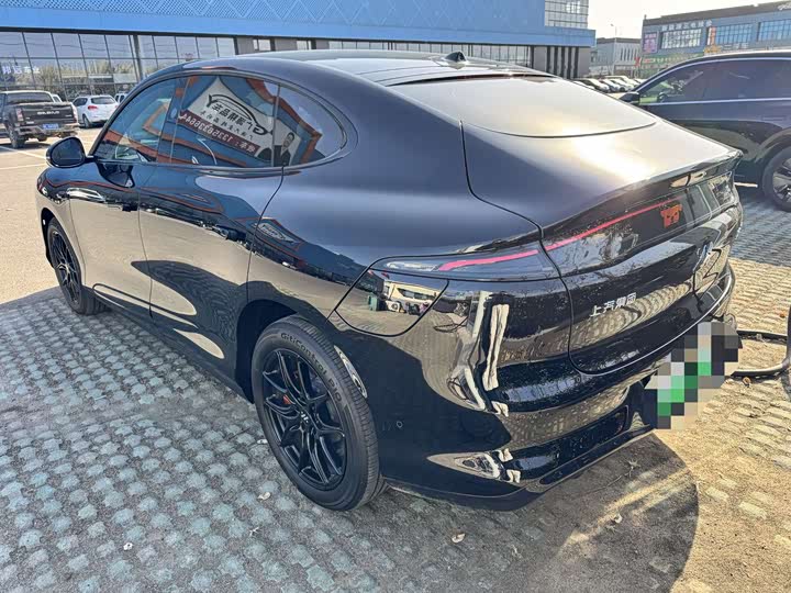 Фото 9 - IM motors LS6