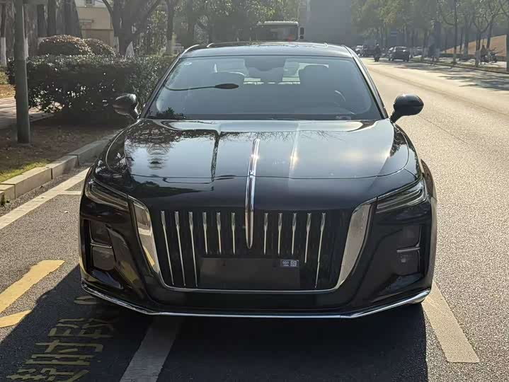 Фото 2 - Hongqi H5