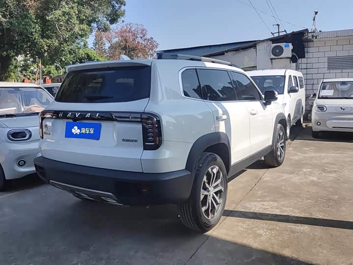 Фото 3 - Haval Dargo