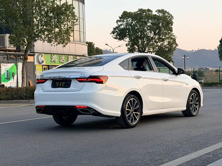 Фото 4 - Geely Binrui